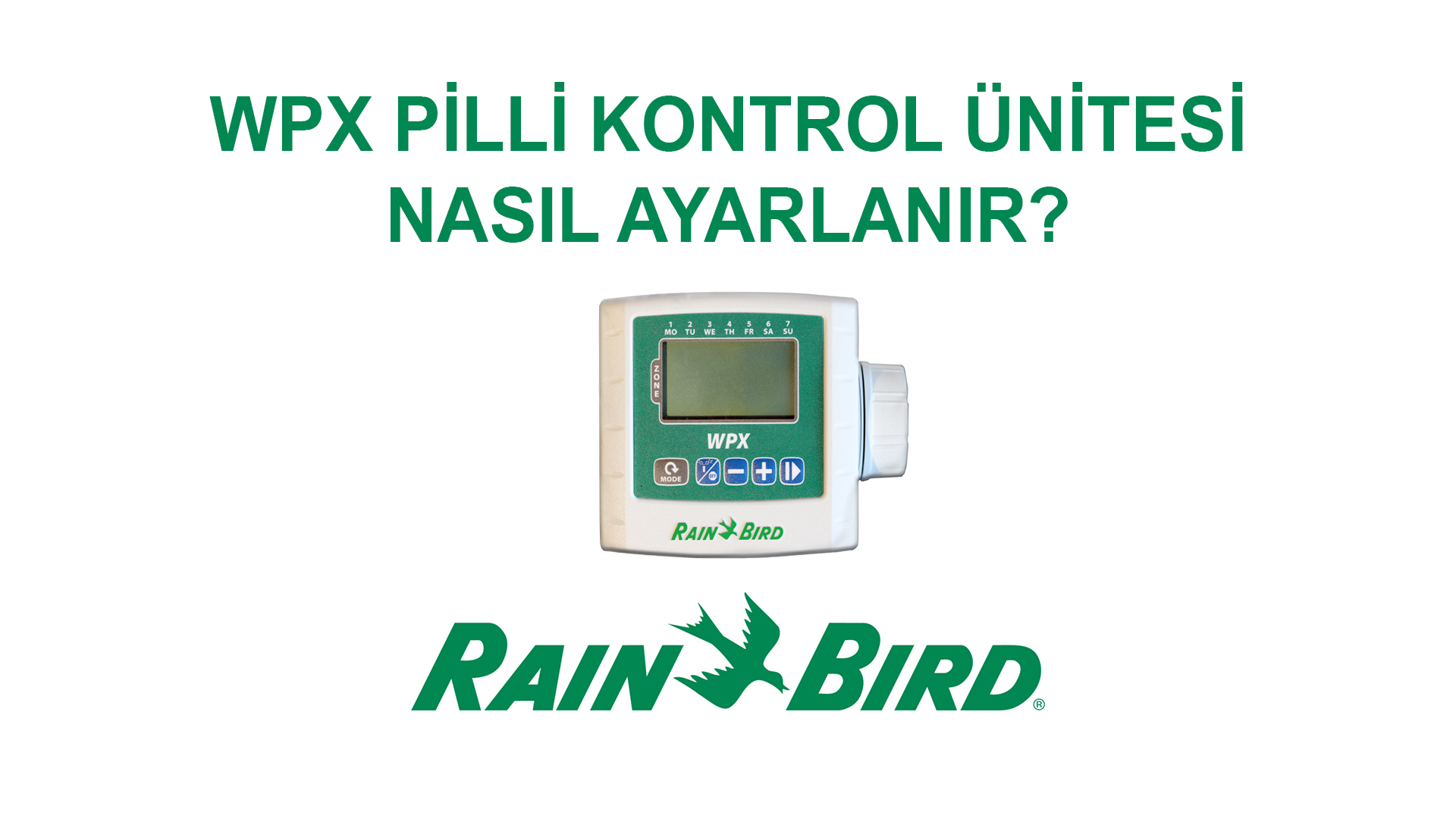 Rainbird WPX